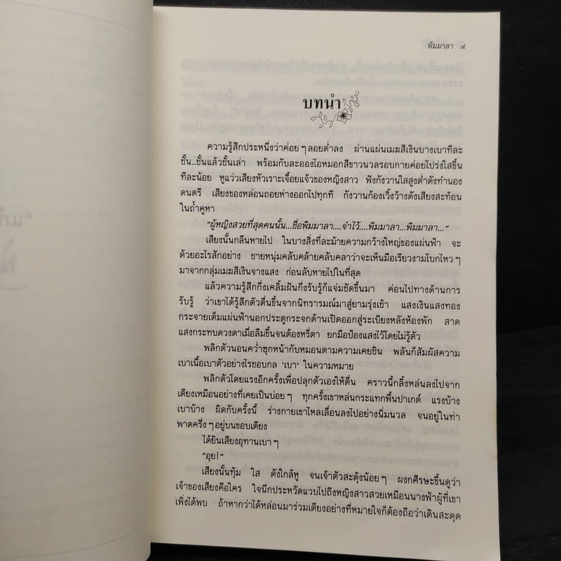 พิมมาลา - แก้วเก้า รูปที่ 6