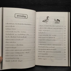 เป็ด-ห่าน ทำเงิน - สมพงษ์ บัวแย้ม รูปที่ 6