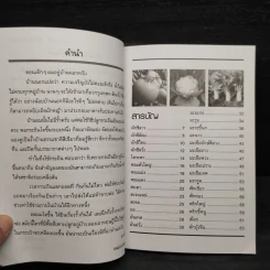 ปลูกผักสวนครัว รั้วเศรษฐกิจ - หมอเกษตร รูปที่ 6