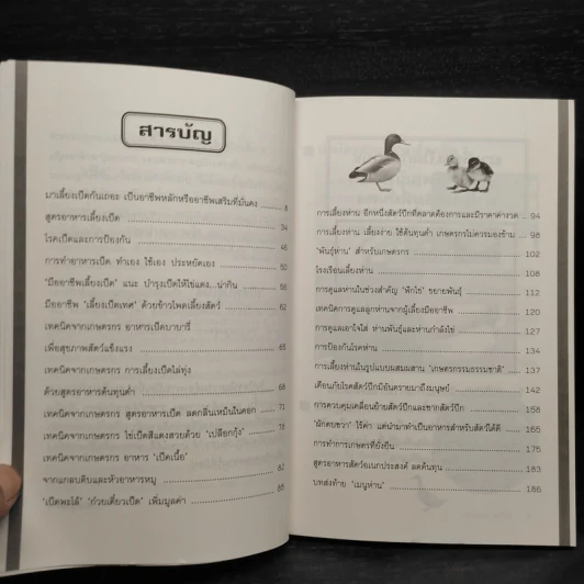เป็ด-ห่าน ทำเงิน - สมพงษ์ บัวแย้ม รูปที่ 6