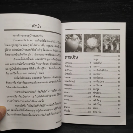 ปลูกผักสวนครัว รั้วเศรษฐกิจ - หมอเกษตร รูปที่ 6