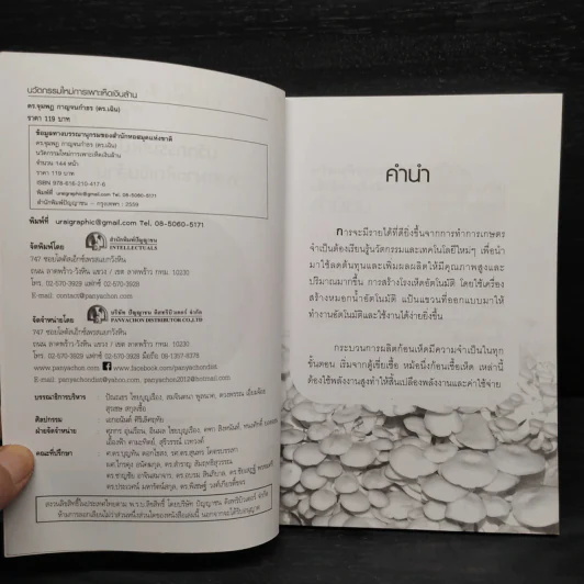 นวัตกรรมใหม่ การเพาะเห็ดเงินล้าน - จุมพฎ กาญจนกำธร(ดร.เฉิน) รูปที่ 5