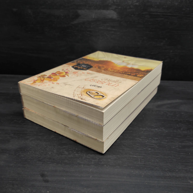 Box Set ซีรีส์ลูกผู้ชาย 3 เล่ม ฝากรักไว้ที่ปลายรุ้ง + สายใยปรารถนา + อรุณรุ่งแห่งหัวใจ รูปที่ 6