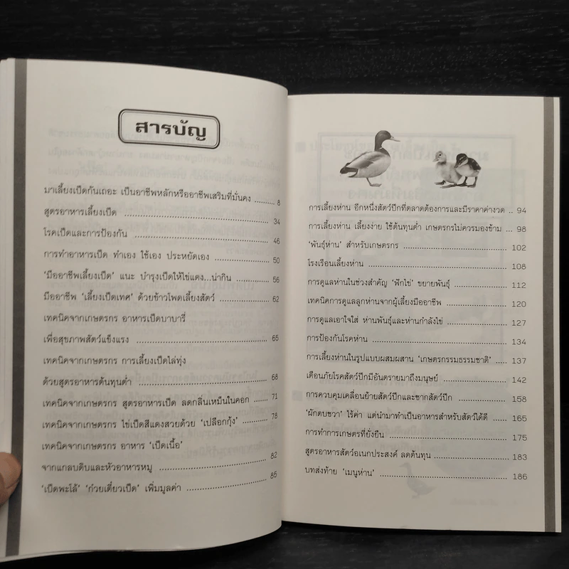 เป็ด-ห่าน ทำเงิน - สมพงษ์ บัวแย้ม รูปที่ 6