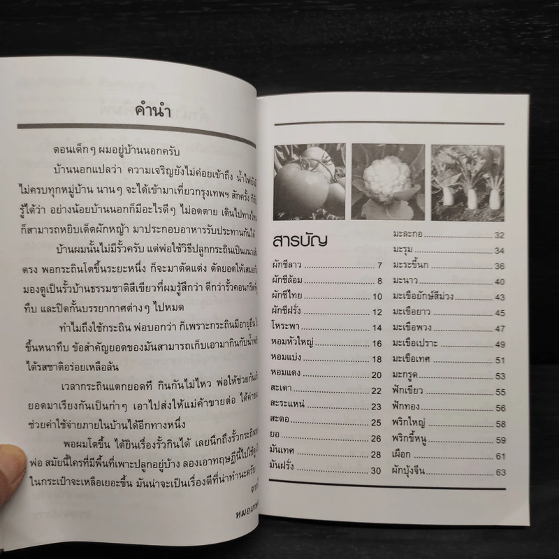 ปลูกผักสวนครัว รั้วเศรษฐกิจ - หมอเกษตร รูปที่ 6