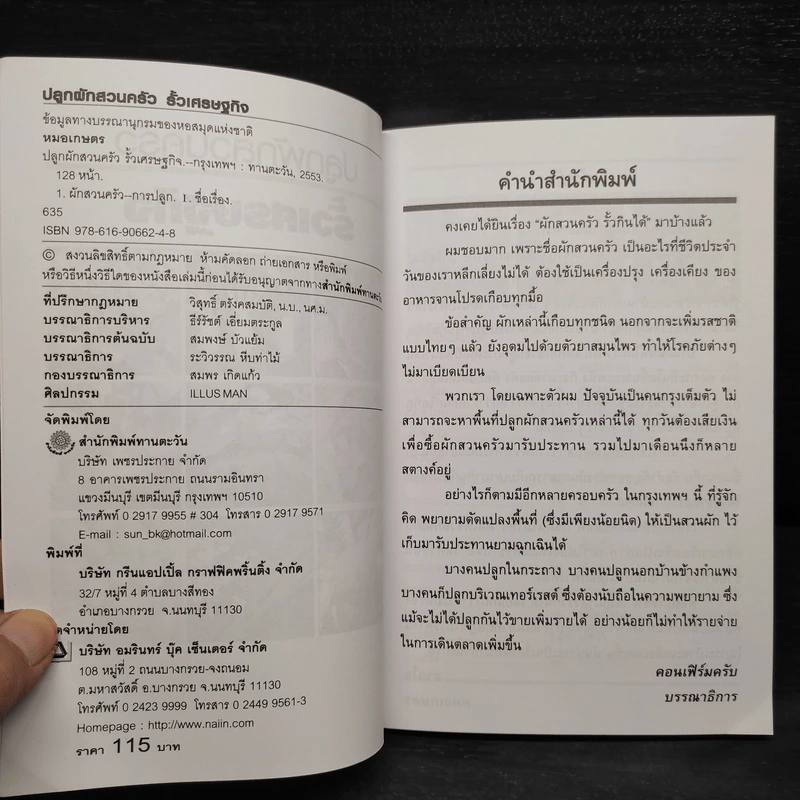 ปลูกผักสวนครัว รั้วเศรษฐกิจ - หมอเกษตร รูปที่ 5