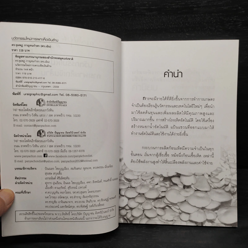 นวัตกรรมใหม่ การเพาะเห็ดเงินล้าน - จุมพฎ กาญจนกำธร(ดร.เฉิน) รูปที่ 5