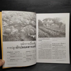 เทคนิคการปลูกผัก ปลอดสารพิษ รูปที่ 6