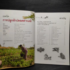 เทคนิคการปลูกผัก ปลอดสารพิษ รูปที่ 5