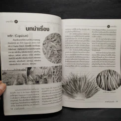 ศาสตร์แห่งพริก คัมภีร์ปลดหนี้ สำหรับเกษตรกรผู้ปลูกพริก รูปที่ 6