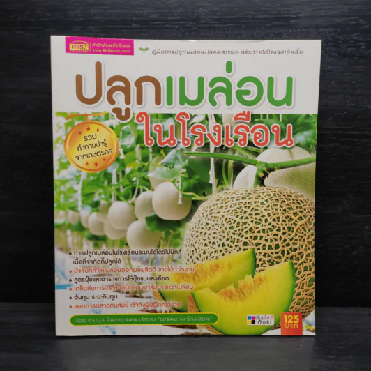 ปลูกเมล่อนในโรงเรือน รูปที่ 1