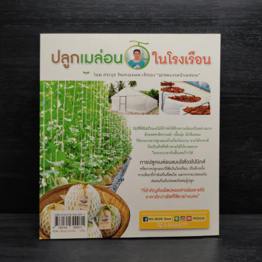 ปลูกเมล่อนในโรงเรือน รูปที่ 2