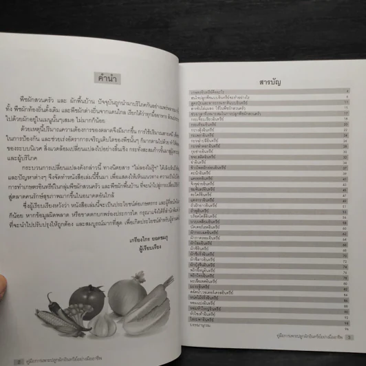 คู่มือการเพาะปลูก ผักอินทรีย์ อย่างมืออาชีพ รูปที่ 6