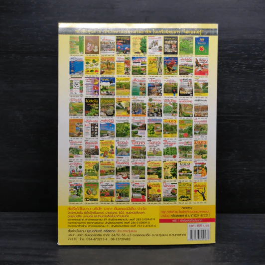 สารพันเมล็ดงอก คนเมือง เล่ม 2 รูปที่ 2
