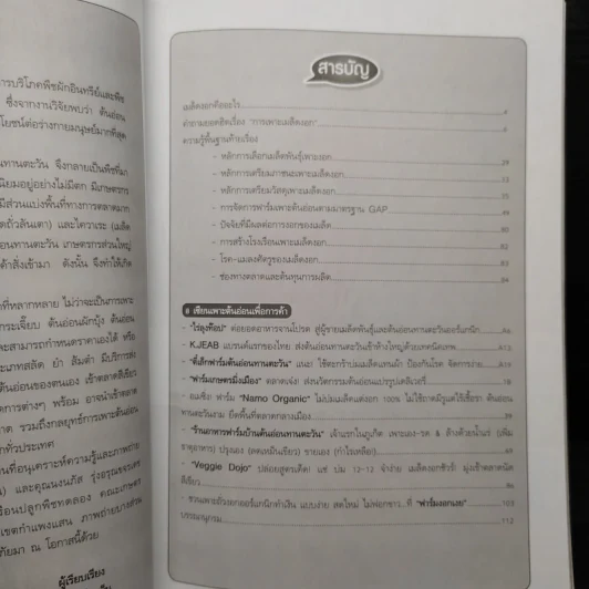 สารพันเมล็ดงอก คนเมือง เล่ม 2 รูปที่ 6
