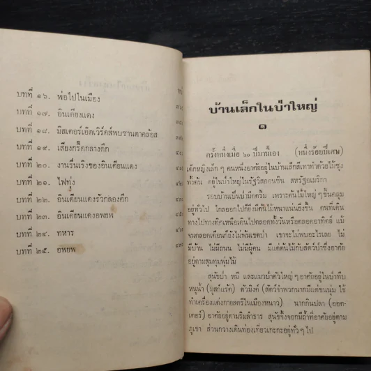 บ้านเล็กในป่าใหญ่ - ลอร่า อิงกัลล์ส ไวล์เดอร์ รูปที่ 8