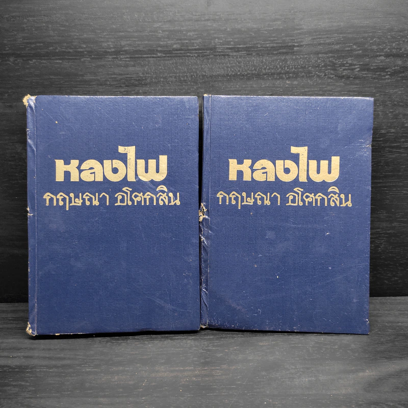 หลงไฟ 2 เล่มจบ - กฤษณา อโศกสิน รูปที่ 1