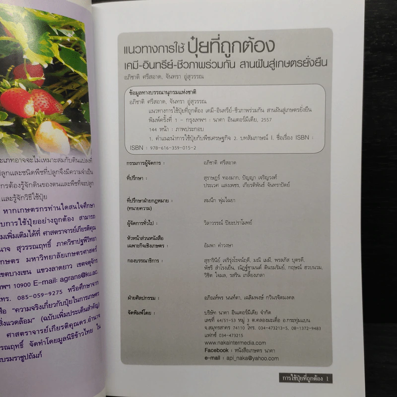 แนวทางการใช้ปุ๋ยที่ถูกต้อง เคมี-อินทรีย์-ชีวภาพ ร่วมกัน รูปที่ 5