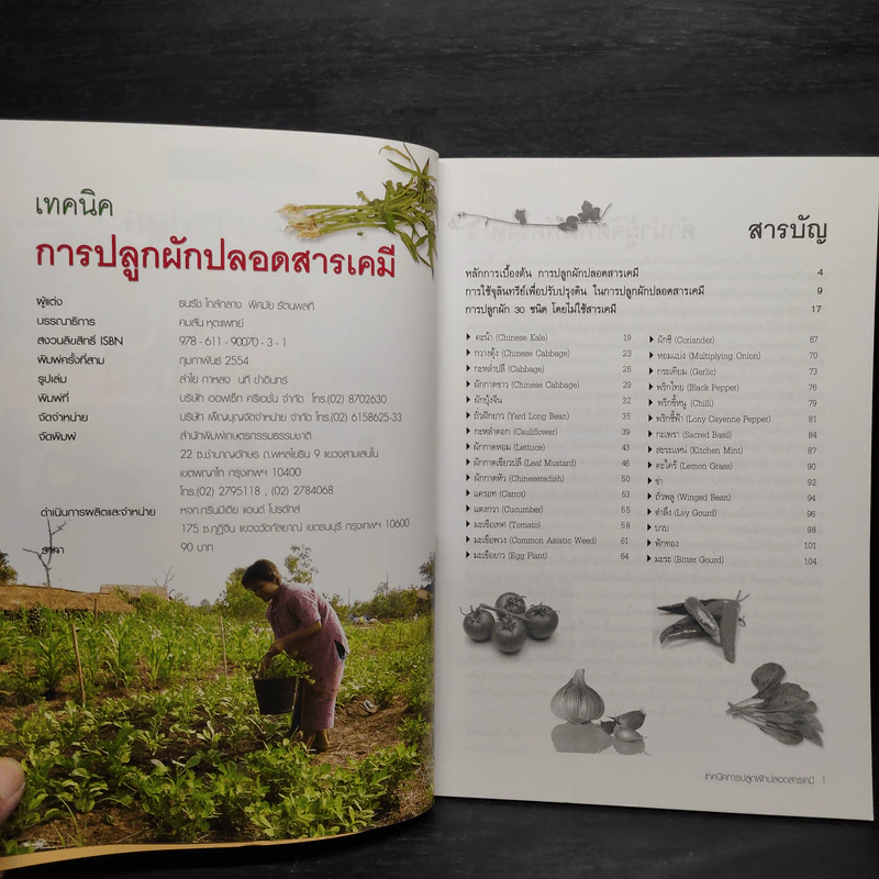เทคนิคการปลูกผัก ปลอดสารพิษ รูปที่ 5