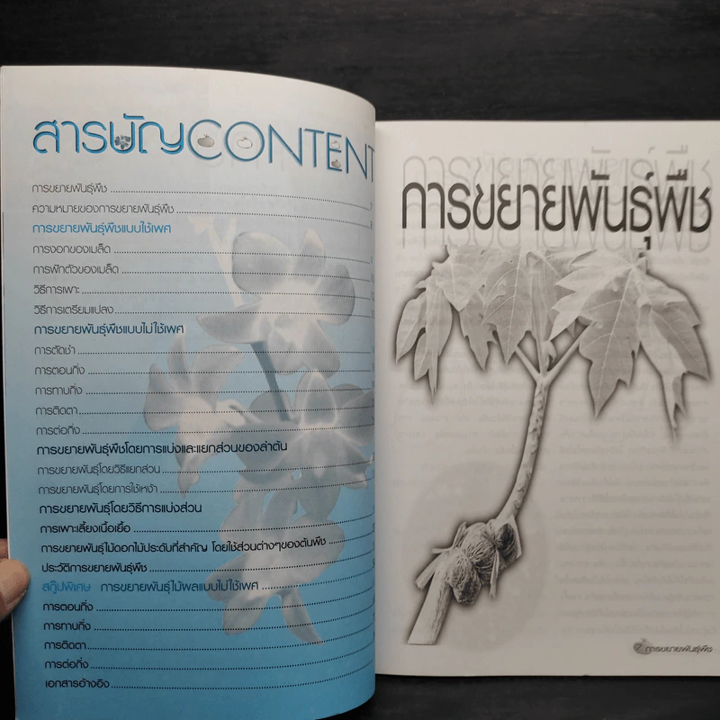 การขยายพันธุ์พืช ไม้ผล ไม้ดอก-ไม้ประดับ รูปที่ 5