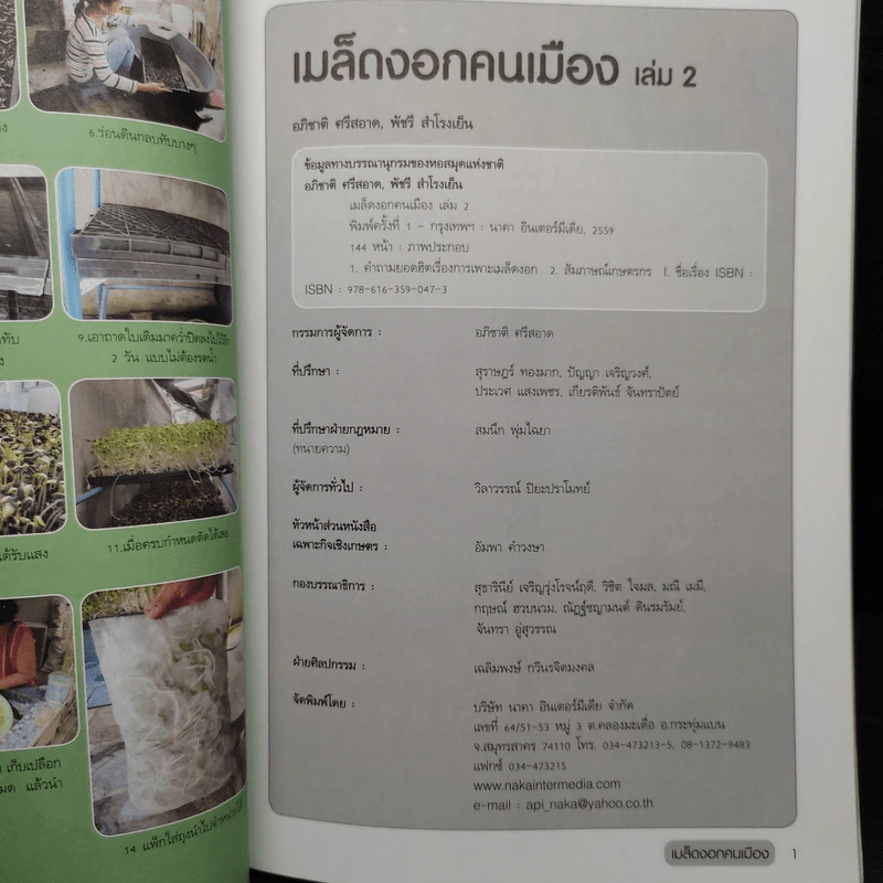 สารพันเมล็ดงอก คนเมือง เล่ม 2 รูปที่ 5