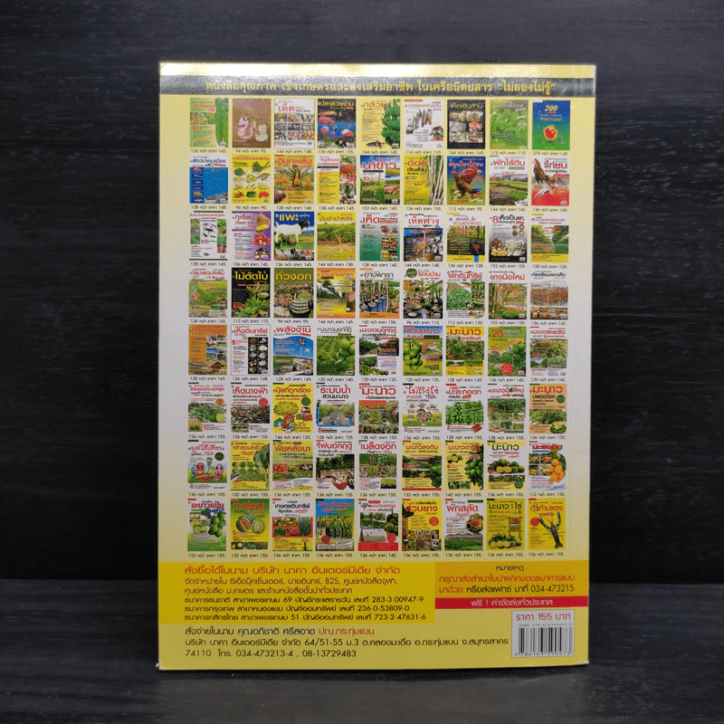 สารพันเมล็ดงอก คนเมือง เล่ม 2 รูปที่ 2