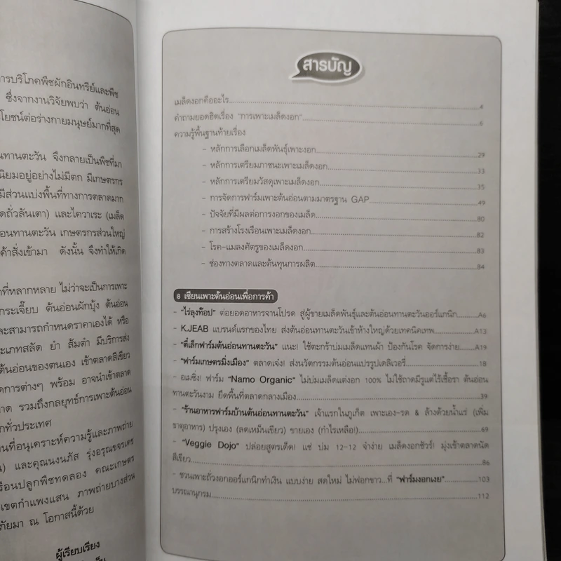 สารพันเมล็ดงอก คนเมือง เล่ม 2 รูปที่ 6