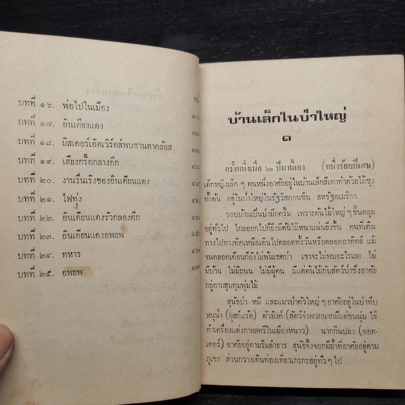 บ้านเล็กในป่าใหญ่ - ลอร่า อิงกัลล์ส ไวล์เดอร์ รูปที่ 8