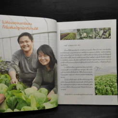 สวนผักในบ้าน กินฟรีทั้งปี รูปที่ 6