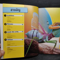 รู้ไปหมด เรื่อง แมลง รูปที่ 5