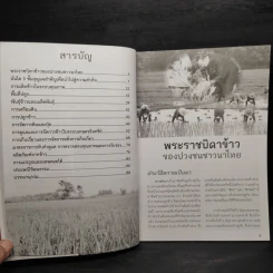 คู่มือปลูกข้าวอินทรีย์ ตามแนวโครงการพระราชดำริ รูปที่ 6