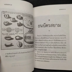 ธนบัตรสยาม - วิญญู บุญยงค์ รูปที่ 6