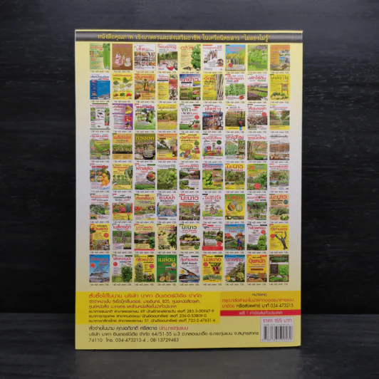ผัก...ไฮโดรโปนิกส์ (ฉบับชาวบ้าน) รูปที่ 2