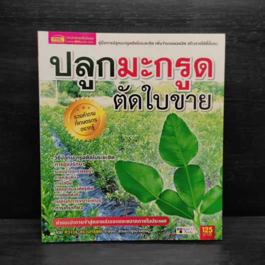 ปลูกมะกรูดตัดใบขาย - ศิวาวุธ สงวนทรัพย์ รูปที่ 1