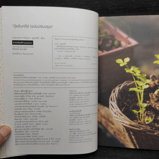 ปุ๋ยอินทรีย์ ORGANIC FERTILIZER - มุกดา สุขสวัสดิ์ รูปที่ 5