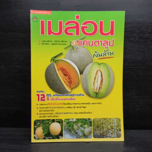 เมล่อน & แคนตาลูป เงินล้าน - อภิชาติ ศรีสอาด รูปที่ 1