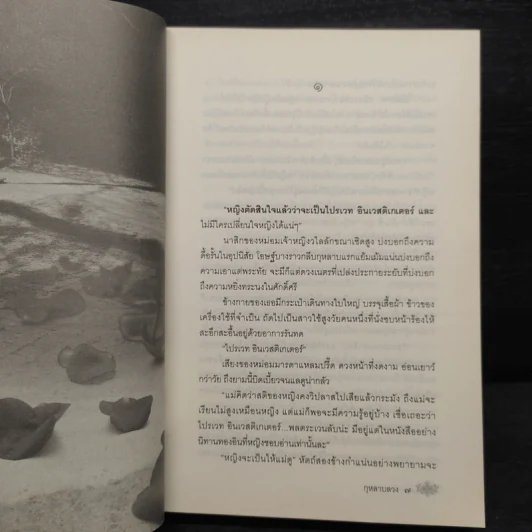 กุหลาบลวง - พงศกร รูปที่ 6