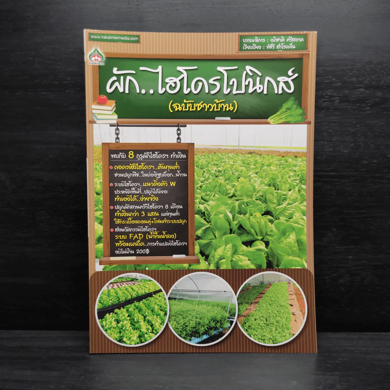 ผัก...ไฮโดรโปนิกส์ (ฉบับชาวบ้าน) รูปที่ 1