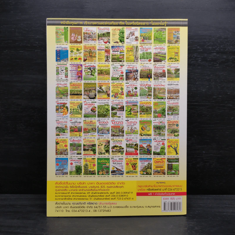 ผัก...ไฮโดรโปนิกส์ (ฉบับชาวบ้าน) รูปที่ 2