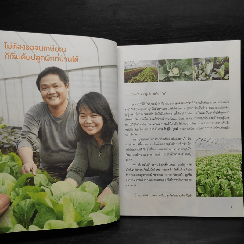 สวนผักในบ้าน กินฟรีทั้งปี รูปที่ 6