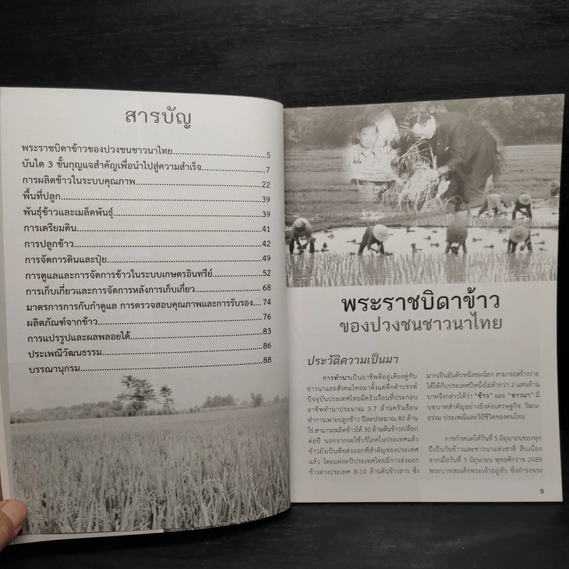 คู่มือปลูกข้าวอินทรีย์ ตามแนวโครงการพระราชดำริ รูปที่ 6