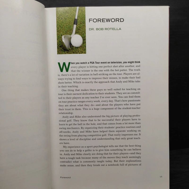 The Stack and Tilt Swing - Michael Bennett, Andy Plummer รูปที่ 6