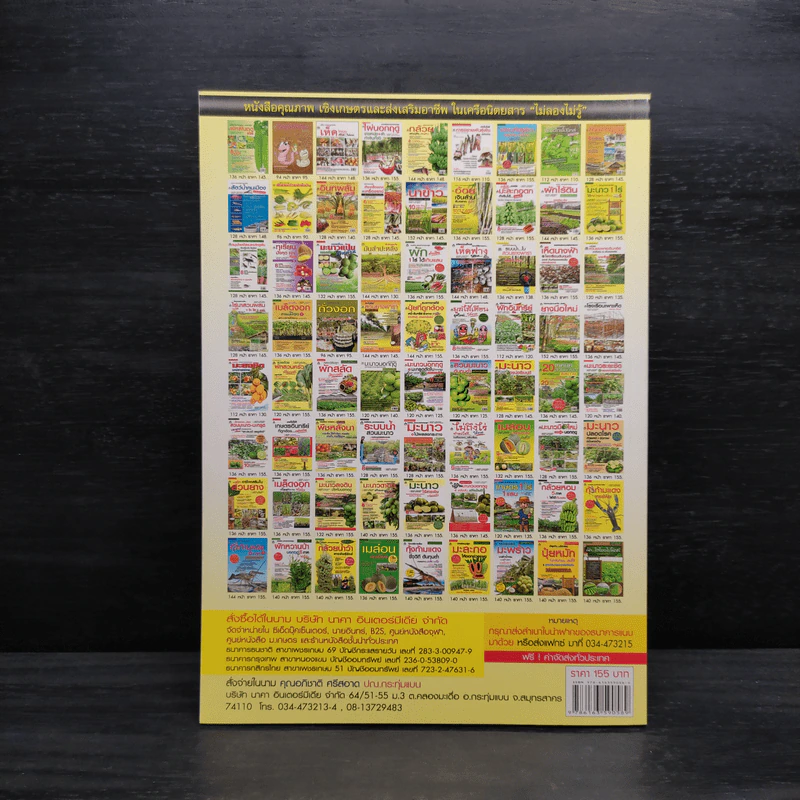 ผัก...ไฮโดรโปนิกส์ (ฉบับชาวบ้าน) รูปที่ 2