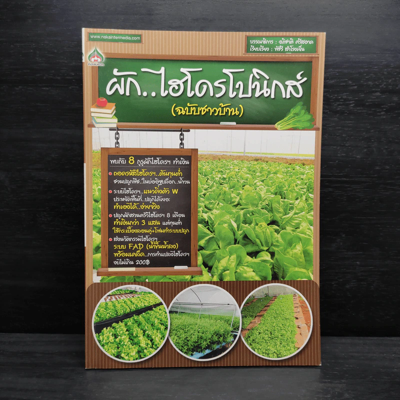 ผัก...ไฮโดรโปนิกส์ (ฉบับชาวบ้าน) รูปที่ 1