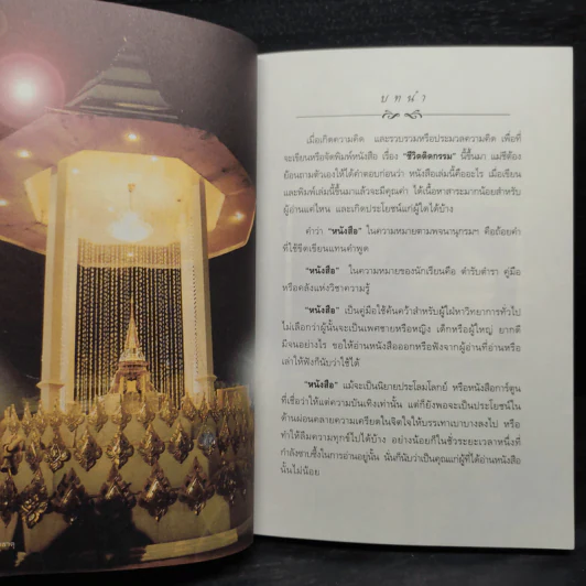 ชีวิตติดกรรม - แม่ชีทศพร บุญเทวาพิทักษ์ รูปที่ 6