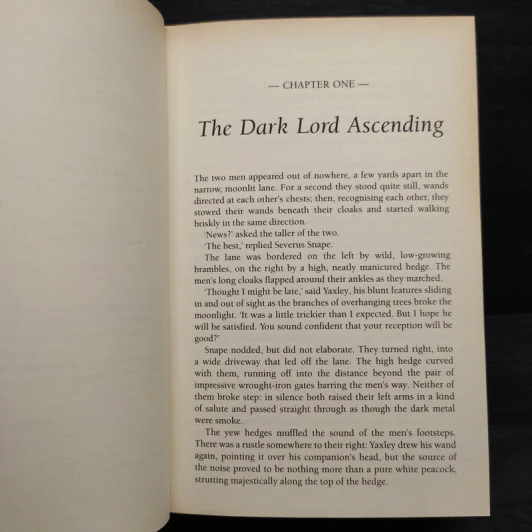 Harry Potter and the Deathly Hallows - J.K.Rowling รูปที่ 6