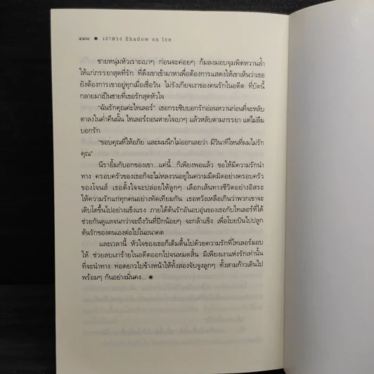 เงาลวง - ณารา รูปที่ 8