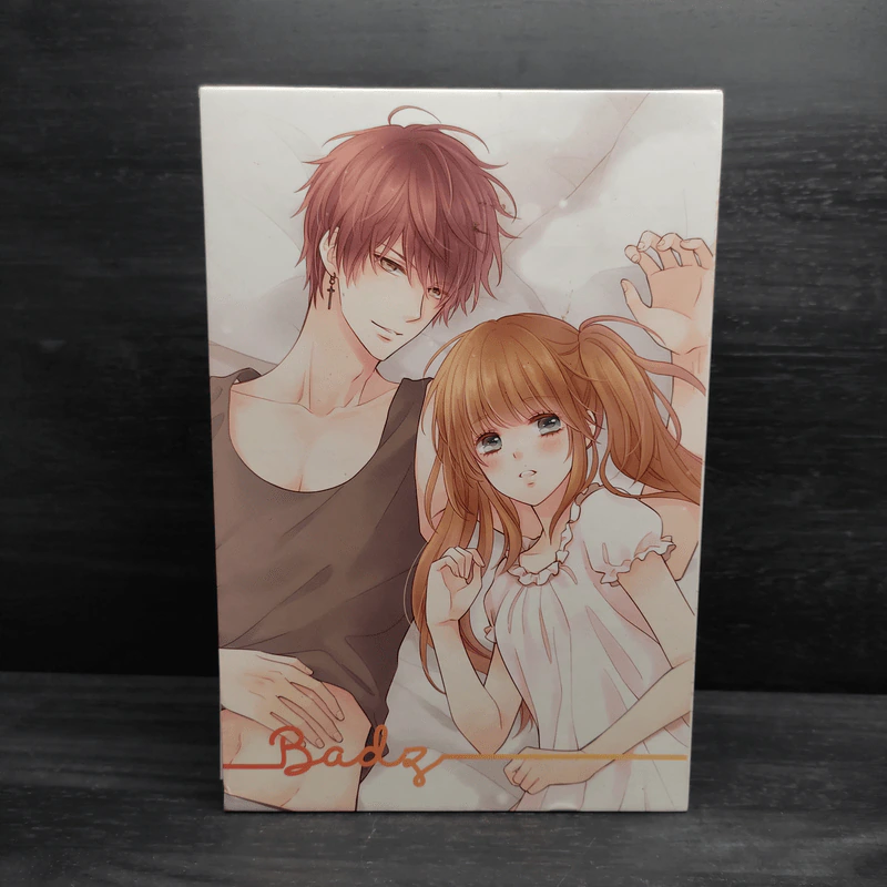 Box Set Boy For Rent (Badz + Sexy) + สมุดโน๊ต - เจ้าหญิงผู้เลอโฉม รูปที่ 2