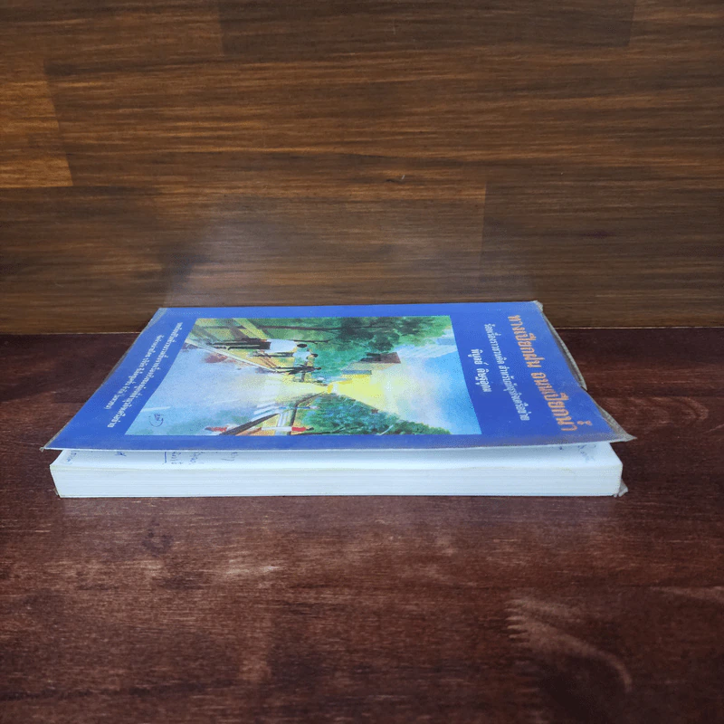 ทางเปียกฝน ถนนเปียกน้ำ เล่ม 1 - พิบูลย์ ดิษฐอุดม รูปที่ 3