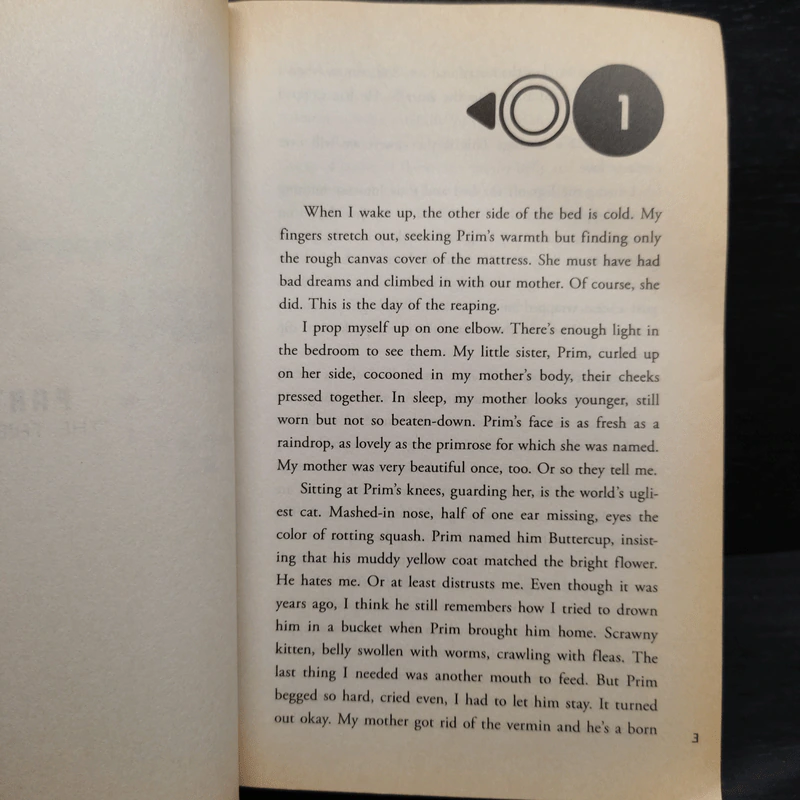 The Hunger Games - Suzanne Collins รูปที่ 5